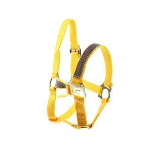 High Quality Durable Horse Equestrian PVC Head <b>Collar</b> Soft Padding Solid <b>Metal</b> Fitting Available All Colors Wholesale Price - Product Image 5