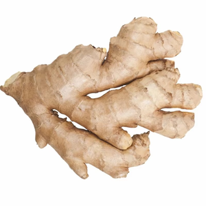 Gingembre séché naturellement au soleil, ingrédient botanique pour le développement de boissons fonctionnelles et le traitement des extraits végétaux - Product Image 2