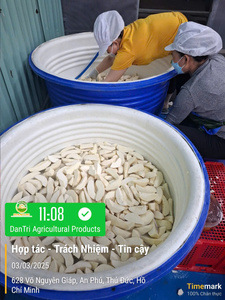 ขนมปังสาเกแช่แข็ง500กรัมผลิตจากโรงงานในเวียดนามส่งออก - Product Image 4