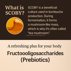 ผงคอมบูชาสำหรับผู้ใหญ่ รสน้ำผึ้งมะนาวขิง ไบโอตินเข้มข้น 4 กรัม 10 ซอง ผลิตในเกาหลี ช่วยเสริมภูมิคุ้มกันสำหรับผู้หญิงและผู้ชาย - Product Image 4