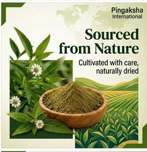 Polvere di Foglie di Bhringraj, Eclipta Alba Selvatica (Synonimo Eclipta Prostrata, Falsa Margherita, Keshraj King), Estratto Erboristico di Grado Alimentare 50 - Product Image 2