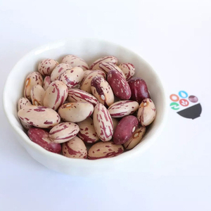 Frijoles Pinto de Calidad Superior Ampliamente Utilizados, Frijoles Pinto Ligeros con Motas, Venta al por Mayor - Product Image 2