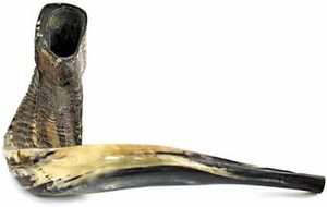 Cuerno de Shofar Ram Premium a Bajo Precio, Hecho a Mano, para la Oración de Rosh Hashanah y Uso en Ceremonias Religiosas - Product Image 5