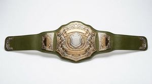 Ceinture de championnat de lutte personnalisée en métal, trophée sportif plaqué or et argent, design personnalisé - Product Image 5