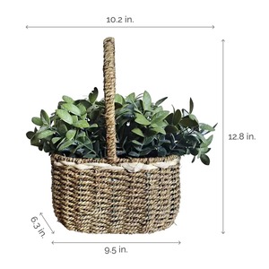 ตะกร้าเก็บของจากหญ้าทะเลพร้อมหูหิ้วสูง ตะกร้าเก็บของทำมือ ขายส่ง เป็นมิตรกับสิ่งแวดล้อม ผลิตในเวียดนาม - Product Image 2