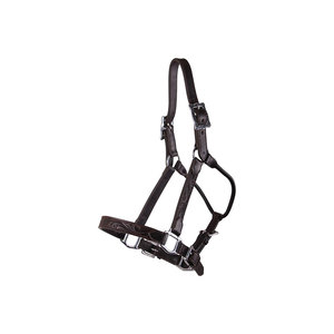 Nylon Horse Halter With Patterned Design And Brass Hardware For <b>Equestrian</b> Use - Product Image 3