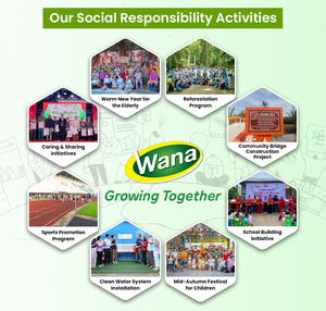 Wana Pineapple Flavored 70% Purity Fresh-Squeezed Prebiotic Concentrate Sparkling Juice 250ml Aluminum Can OEM ODM <b>Beverage</b> - Product Image 5