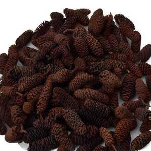 Fleurs séchées cosmiques de haute qualité en gros, boule de pot-pourri bio de bouleau et de pin pour la remise des diplômes, Halloween, la fête des pères, décoration florale DIY 2025 - Product Image 1