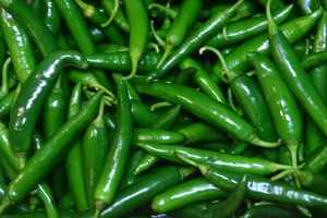 Chiles Verdes Frescos, <span class=keywords><strong>Sabor</strong></span> Natural, Picantes, Esenciales para la Cocina, Calidad Fresca <span class=keywords><strong>de</strong></span> Granja, <span class=keywords><strong>Sabor</strong></span> Premium, Caja <span class=keywords><strong>de</strong></span> Cartón <span class=keywords><strong>de</strong></span> 4.5 kg, Tamil Nadu, India - Product Image 2