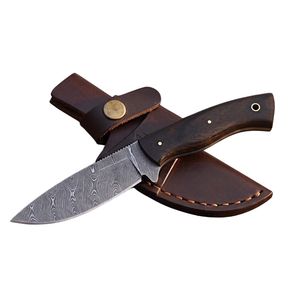 Couteau de chasse de style tactique avec lame en acier inoxydable, poignée antidérapante pour équipement de camping en plein air, vente en gros, OEM personnalisé - Product Image 1