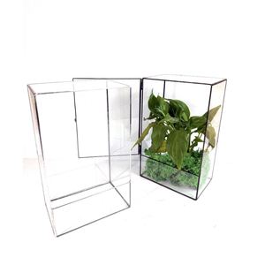 Hot Selling Reasonable Price <b>Clear</b> Glass Modern Luxury Black Terrarium With Brass Border New Arrival Terrarium for Home Decorate - Product Image 4