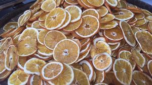 Rodajas de Naranja Cítrica Orgánica |   Ingrediente de Té Herbal Detox |   Secado Naturalmente en Vietnam - Product Image 2