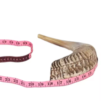 Shofar Naturel de Haute Qualité en Corne de Biche, Écologique, Moderne, Étanche, Poli, Décoration d'Intérieur, Style Animalier