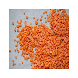 Les caractéristiques de qualité des lentilles rouges répondent aux normes interétatiques pour les légumineuses saines, lentilles en gros. - Product Image 6