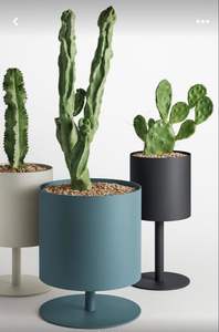 Soporte decorativo, soporte para macetas de sala de estar, elegante soporte para jardín interior, soporte para plantas de metal dorado, decoración interior. - Product Image 2