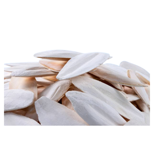 BLUE LOTUS 100% Os de Seiche Biologique Pur pour l'Entretien des Becs, Écologique, Riche en Calcium, 1,0 kg pour Oiseaux et Reptiles - Product Image 1