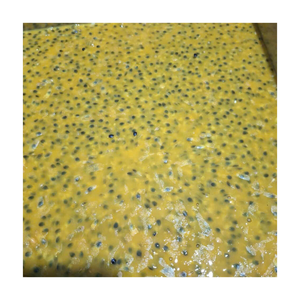 Purée de fruit de la passion congelée pour la production industrielle de boissons et la standardisation des saveurs - Product Image 2