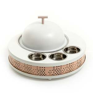 Plato de Servir de Alambre de Hierro con Tapa de Acero, Diseño Fantástico, de la Mejor Calidad, Forma Redonda, para Servir Alimentos al por Mayor - Product Image 6