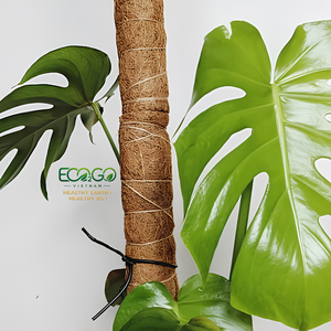 Poste de Musgo de Coco Natural de Diseño Simple para Plantas Trepadoras como Monstera/Philodendron/Pothos/Aroid |   Tamaños Personalizados al por Mayor OEM - Product Image 3