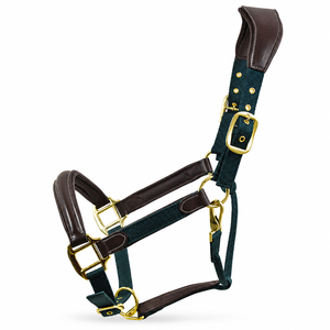 Indian Leather Comfort Horse Show Halter Head Collar Full BRASS Fitting - Product Image 1