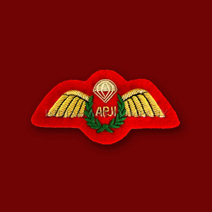 Insignia de Ala Bordada a Mano al por Mayor para Accesorios de Uniforme - Product Image 5