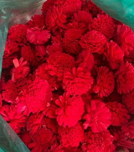 Fleurs en bois de Sola faites à la main, couleur rouge, en vrac, fleurs décoratives pour la décoration de mariage, arrangements floraux DIY - Product Image 4