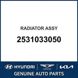 หม้อน้ำโซนาต้าใหม่ 2531033050 - Product Image 1