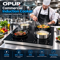 Table de cuisson à induction électrique encastrable 4 brûleurs, surface en verre, usage domestique