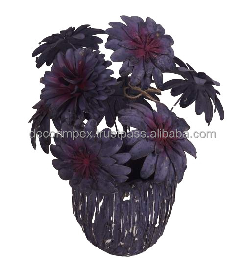 Naturel Multi Couleur