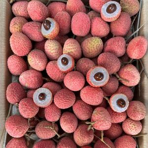 Litchis surgelés IQF du Vietnam – Fournisseur en gros VDELTA pour l'exportation - Product Image 1