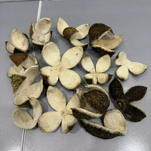 เปลือกส้มแห้งเวียดนาม ผ่านกระบวนการอบแห้งด้วยแสงแดด วัตถุดิบส้มสำหรับชงชา ปรุงรส ทำอาหาร โรงงานผลิต ขายส่ง - Product Image 1