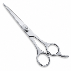 Ciseaux de coiffure professionnels classiques en argent, acier inoxydable, OEM, étiquette privée, ciseaux de salon - Product Image 1