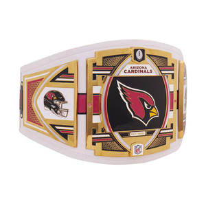 เข็มขัดแชมป์ทีมอเมริกันฟุตบอล แรงบันดาลใจจาก Legacy Championship สำหรับ MMA/ยูโด/มวย  ถ้วยรางวัลสะสมโลหะผสมสังกะสีแบบกำหนดเอง ขนาดสำหรับผู้ใหญ่ - Product Image 2