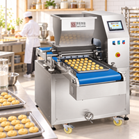 Machine industrielle à fabriquer des biscuits avec coupe-fil en option