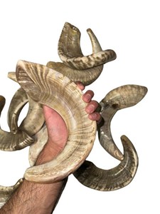 Shofar de Cuerno de Carnero Natural Religioso de Alta Calidad de 20 Pulgadas con Piel Natural |   El Mejor Shofar Hecho a Mano con Cuerno de Carnero para Principiantes - Product Image 4