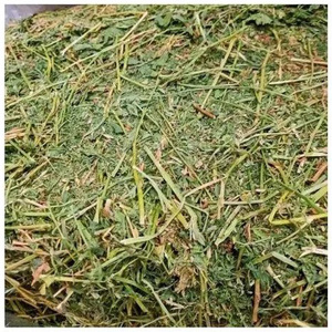 Timothy Hay Animal Feeding Stuff Alfalfa, hay/alfalfa hay pellets Timothy Hay/ Alfafa in Bales - Product Image 2