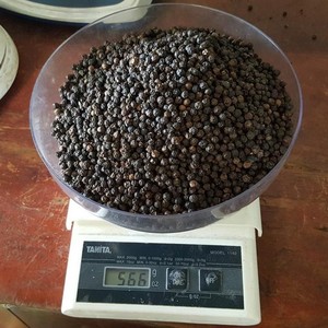 Poivre noir de qualité supérieure, piment de la Jamaïque, origine Vietnam, épice séchée brute AD, 50 kg, certifié HACCP, Phalco JSC - Product Image 1