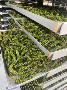 Equipo de Liofilización Comercial Automático de Acero Inoxidable WHFD-100, Controlado por PLC, Multiaplicación, Larga Vida Útil, para Alimentos - Product Image 5