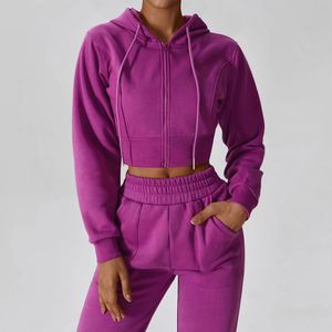 Conjunto de Sudadera Corta con Capucha y Pantalones Jogger a Juego para Mujer, Estilo Casual Urbano, Corte Regular, Liso, para Invierno y Actividades al Aire Libre - Product Image 4