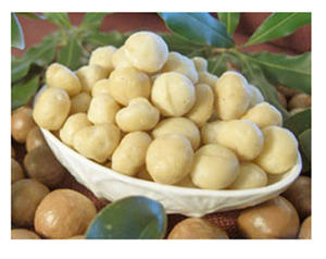 Proveedor OEM de Nueces de Macadamia Tostadas de Vietnam, Macadamia sin Cáscara a Granel, Empaque Personalizado, Precio de Fábrica - Product Image 1