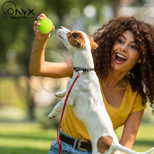 Premium Quality High <b>Bounce</b> Durable Long-Lasting Use Yellow Color Practice Standard Size Tennis <b>Balls</b> For Sports & Training - Product Image 2