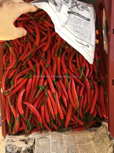 Piment rouge frais cru de qualité supérieure Origine du Vietnam 2025 Produit de haute qualité prêt pour l'exportation en gros - Product Image 4
