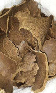 Natural Cow Dung Cakes for Havan Pooja Organic Fuel Eco Friendly Dried Gobar Kande for Cooking Heating Ritual Use India Premiums - Product Image 6