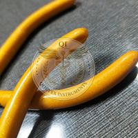 Pince à bec de chat en acier inoxydable pour la fabrication de bijoux - Outils de bricolage de haute qualité avec logo personnalisé, taille et couleur personnalisables