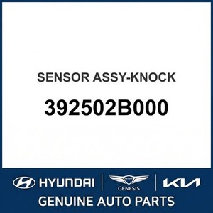 Nouveaux capteurs et interrupteurs de moteur Accent 392502B000 - Product Image 1