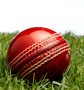 RX Sports Red Custom Logo Cricket Hard <b>Ball</b> Hand Stitched Premium Quality Eco-Friendly Durable Lightweight Professional Cricket - Product Image 3