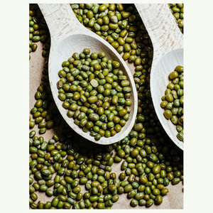 Wholesale High Quality Green <b>Vigna</b> Mung <b>Beans</b> Peeled green mung <b>beans</b> split /mung dhal New Mung <b>Bean</b> from USA 2026 Crop - Product Image 4