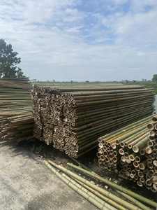 Varas de bambú natural de origen vietnamita para diseño de interiores del hogar y proyectos de paisajismo exterior, material resistente y sostenible - Product Image 3