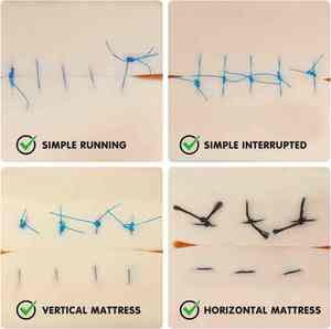 ชุดฝึกหัดเย็บแผลขนาดใหญ่ Pentax Surgical Medical Science พร้อมโมดูลเย็บลำไส้เล็ก แผ่นฝึกฉีดยา และอุปกรณ์สแตนเลส - Product Image 3