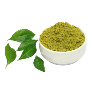 Precio Especial Hoja de Guayaba Deshidratada en Saco de 25kg, Precio para Vendedores B2B, Hojas Crudas Deshidratadas Empacadas en Bolsa Kraft, Fabricante de Vietnam - Product Image 6